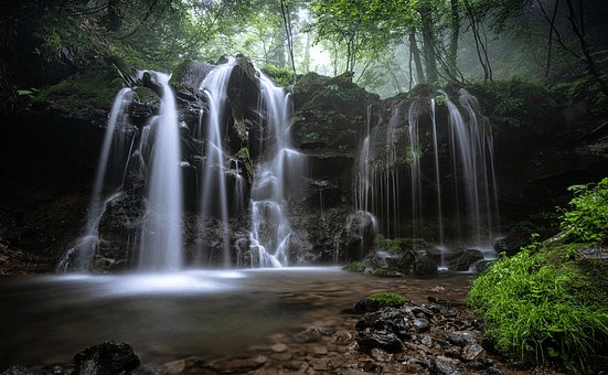A forest grove with waterfalls.